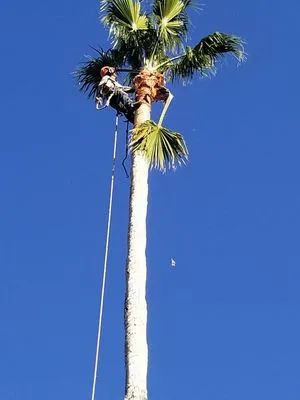 Coast Men Construction Logo