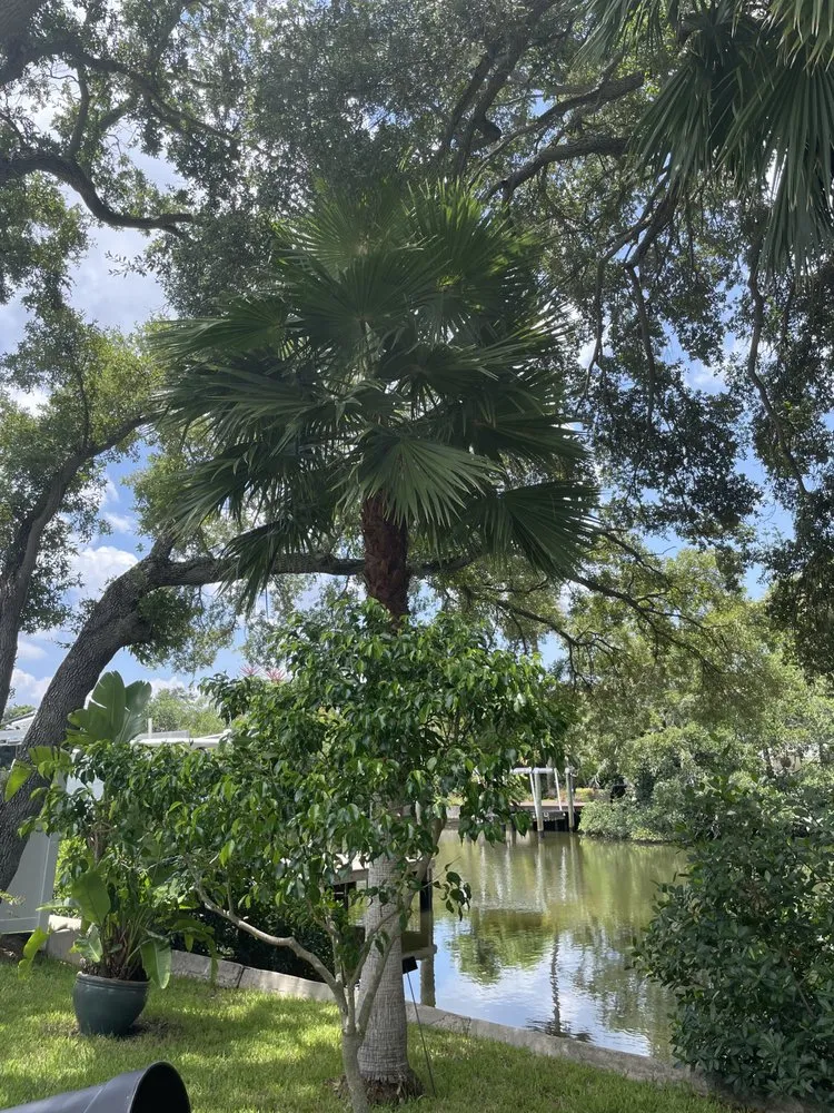 Top-rated landscaping services experts serving Thonotosassa, FL - Coast to Coast Tree & Property Services