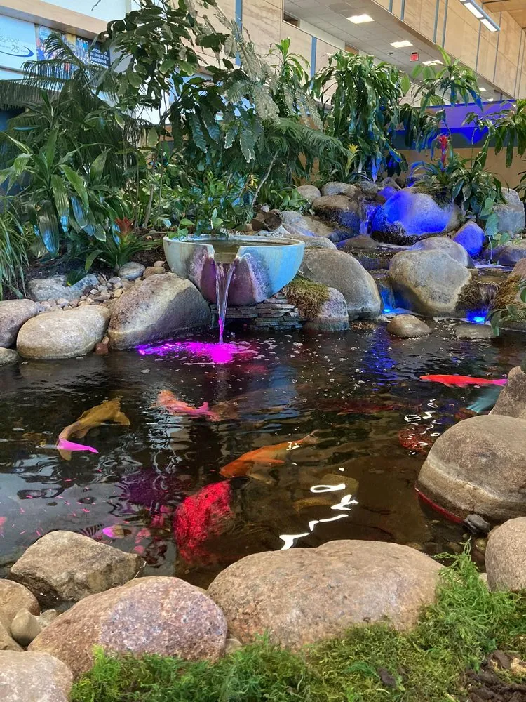 Local landscaping services experts serving Somerset, MA - Coastal Aquascapes