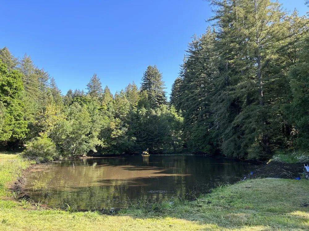 Affordable yard maintenance experts serving Watsonville, CA - Coastal Aquatics