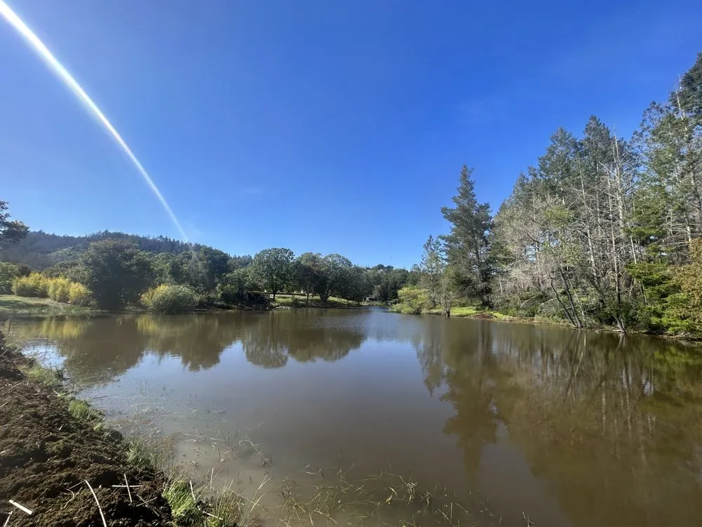 Affordable yard maintenance in Watsonville, CA by Coastal Aquatics