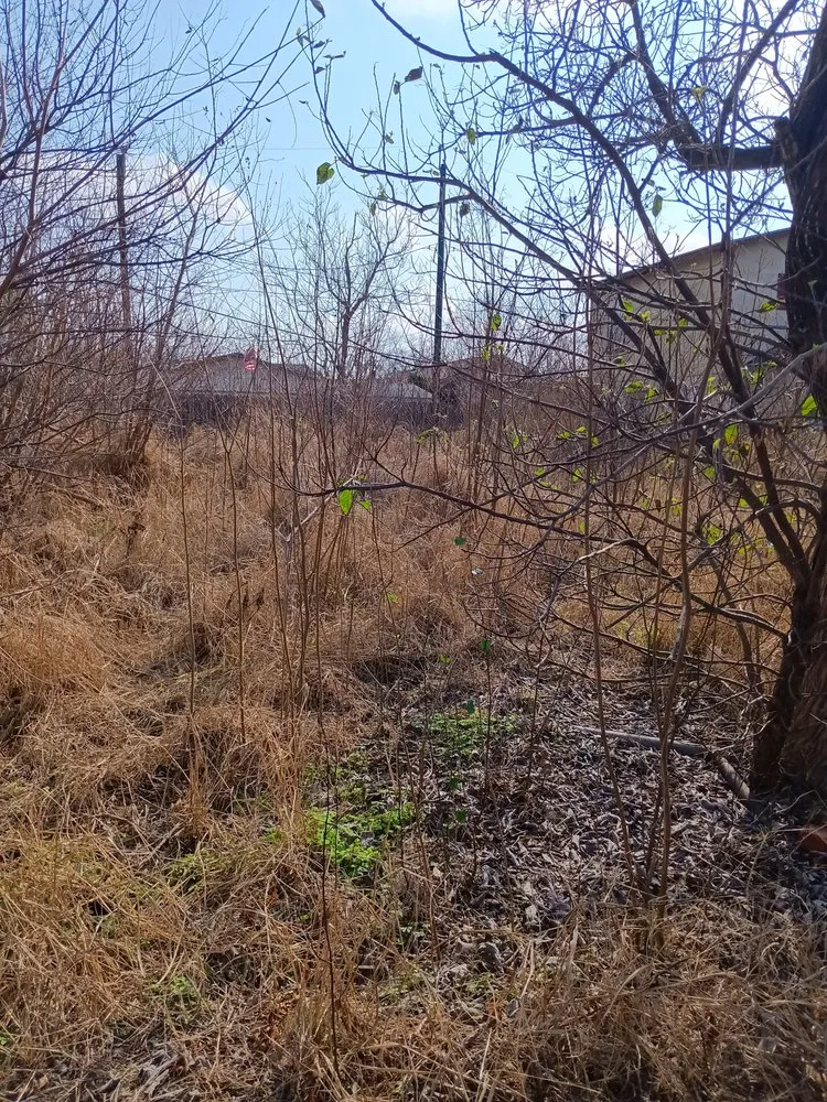 Top-rated landscape installation for year-round maintenance in Corpus Christi, TX by Coastal Bend Yard Works