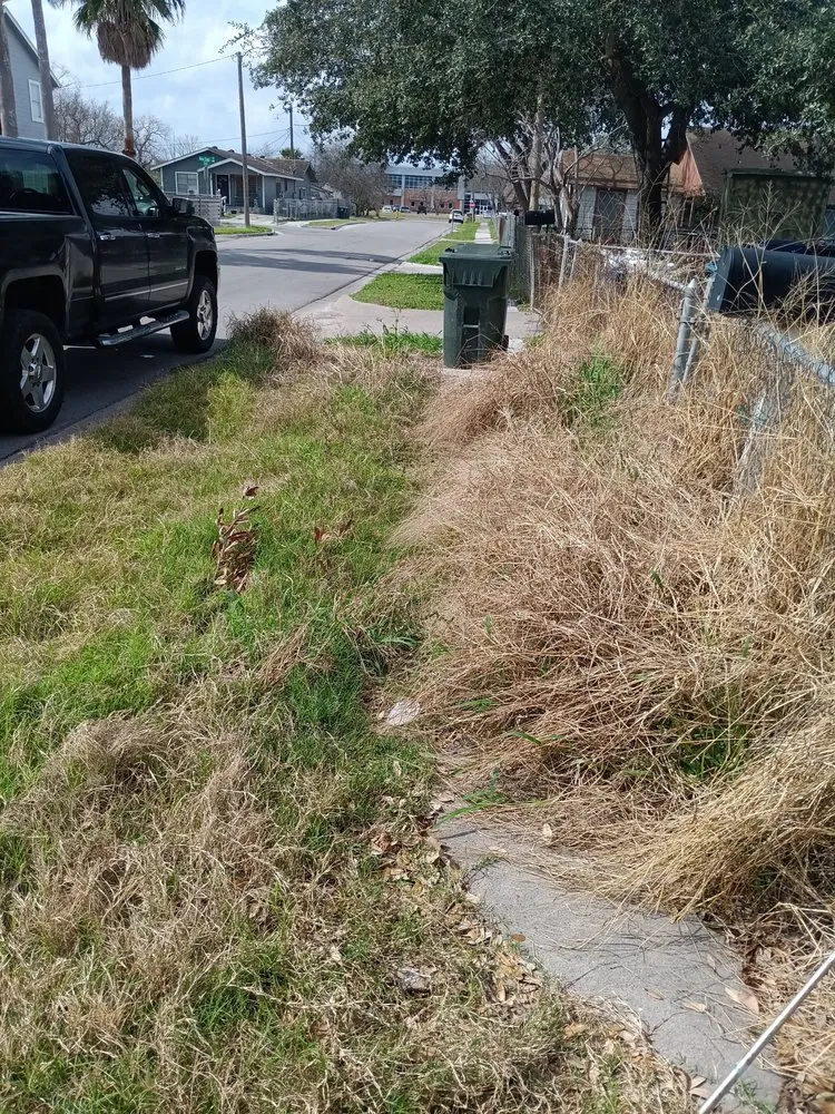 Trusted landscaping services experts serving Corpus Christi, TX - Coastal Bend Yard Works