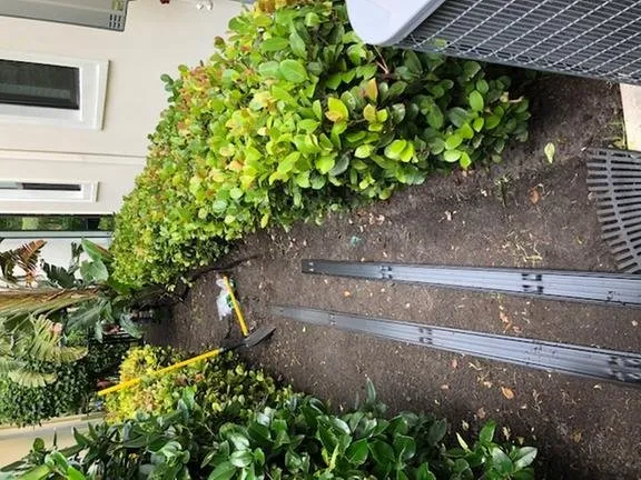 Expert landscaping services in Jupiter, FL by Coastal Best Landscaping