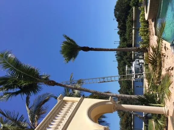 Affordable landscape installation near you in Jupiter, FL by Coastal Best Landscaping