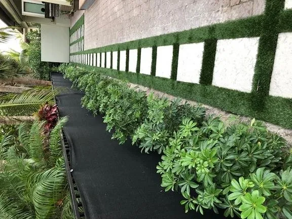 Expert lawn mowing service in Jupiter, FL - Coastal Best Landscaping