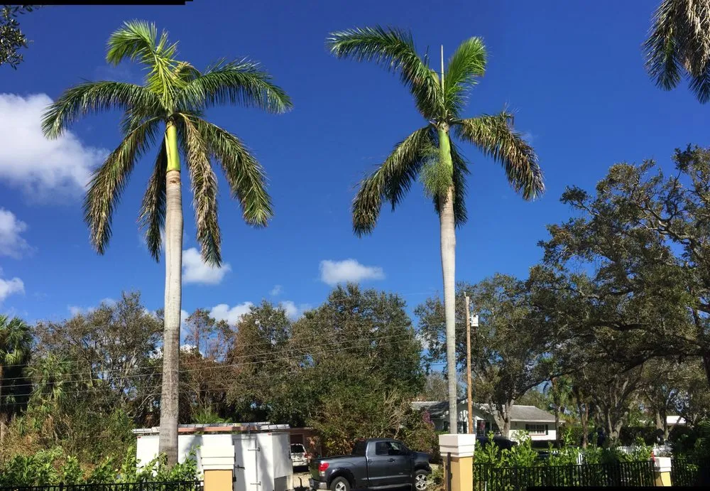 Custom landscaping services for homes across Jupiter, FL - Coastal Best Landscaping