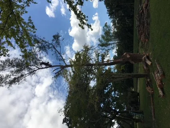 Expert landscaping services near you in Jupiter, FL by Coastal Best Landscaping