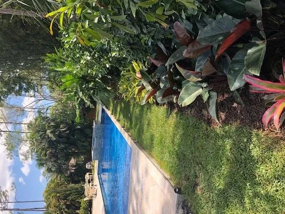 Custom lawn mowing service with custom design across Jupiter, FL - Coastal Best Landscaping