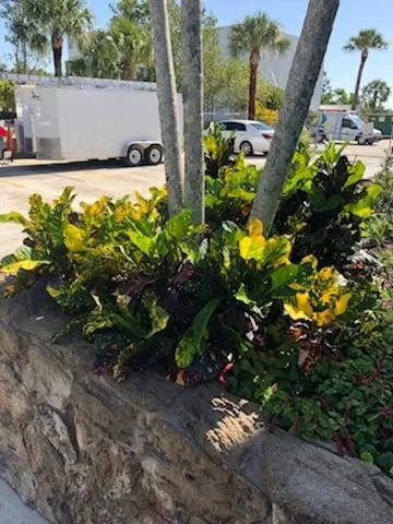 Professional yard maintenance in Jupiter, FL - Coastal Best Landscaping