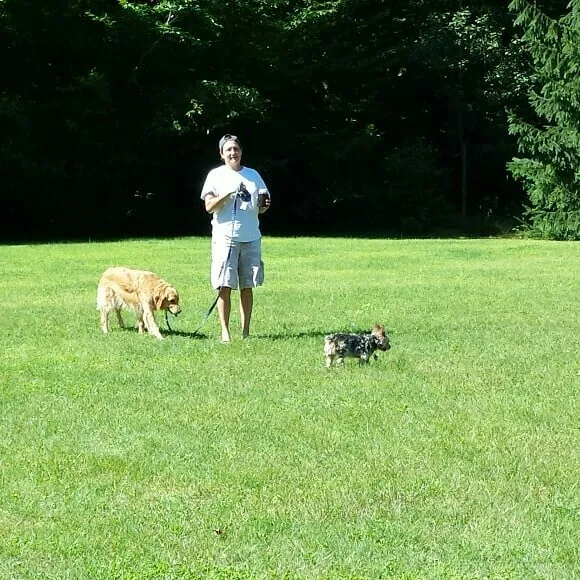 Expert landscape installation for residential properties across Pawtucket, RI - Coastal Care