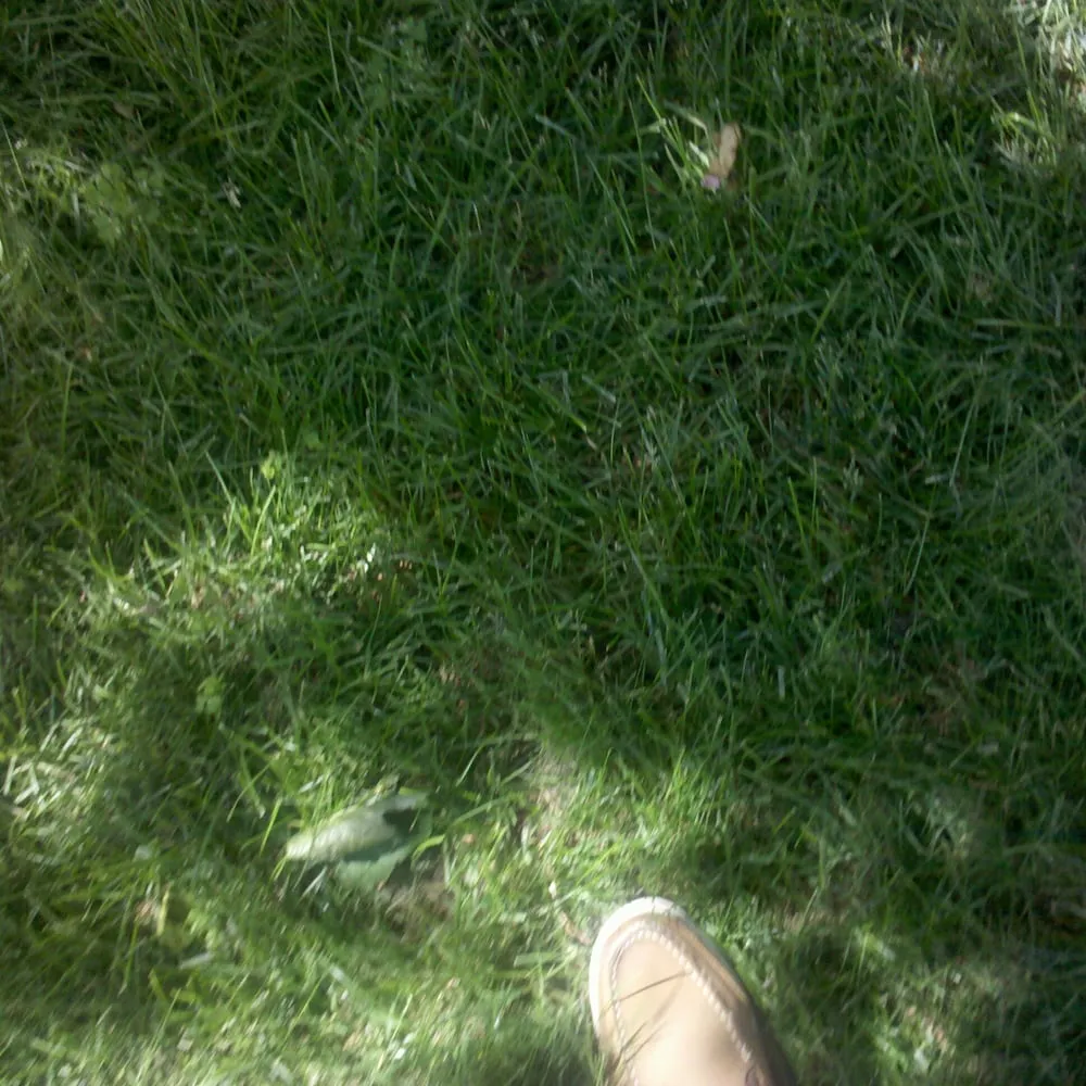 Custom yard maintenance in Pawtucket, RI - Coastal Care