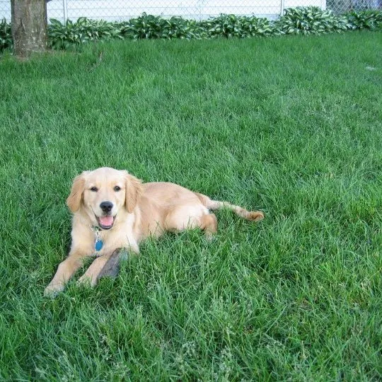 Local garden landscaping experts serving Pawtucket, RI - Coastal Care