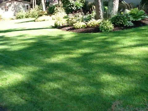 Expert garden landscaping in Pawtucket, RI - Coastal Care