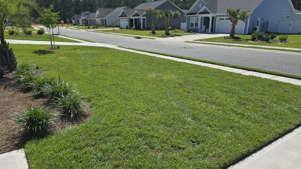 Top-rated lawn mowing service for homes across Bolivia, NC - Coastal Carolina Lawn & Landscape