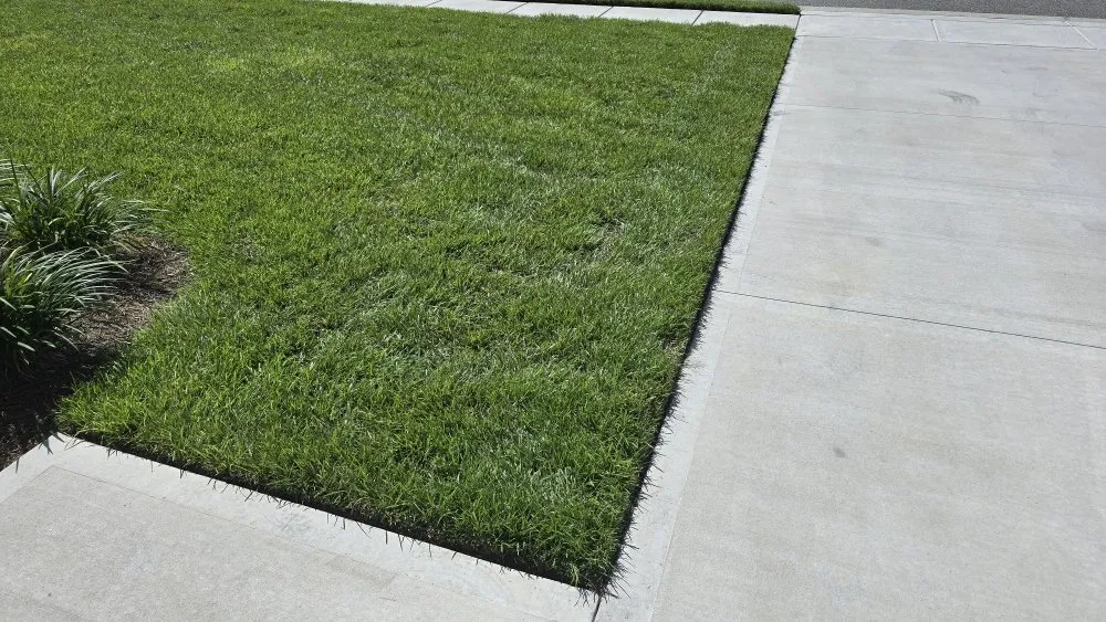 Professional landscape installation experts serving Bolivia, NC - Coastal Carolina Lawn & Landscape