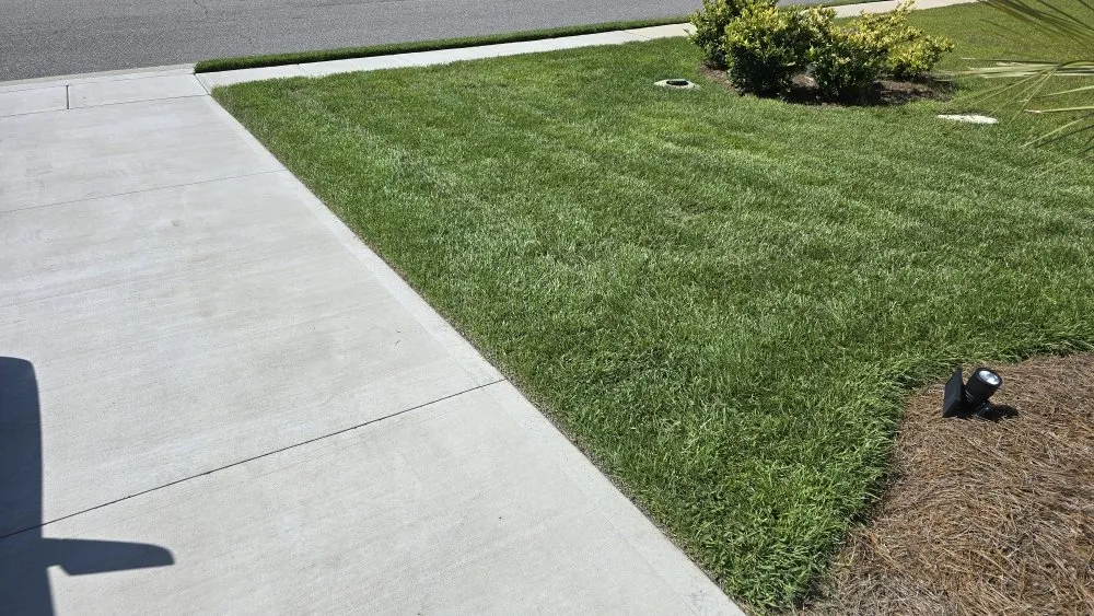 Affordable landscape design for year-round maintenance across Bolivia, NC - Coastal Carolina Lawn & Landscape