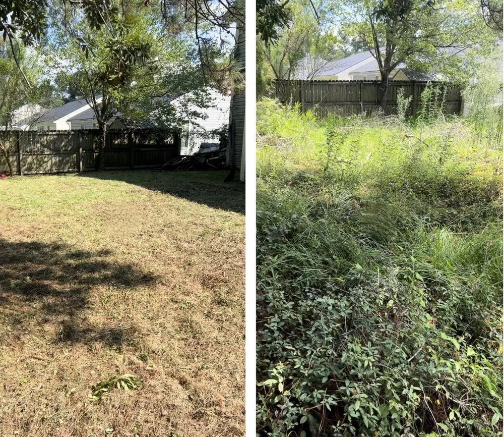 Local landscape installation for year-round maintenance across Summerville, SC - Coastal Clippers