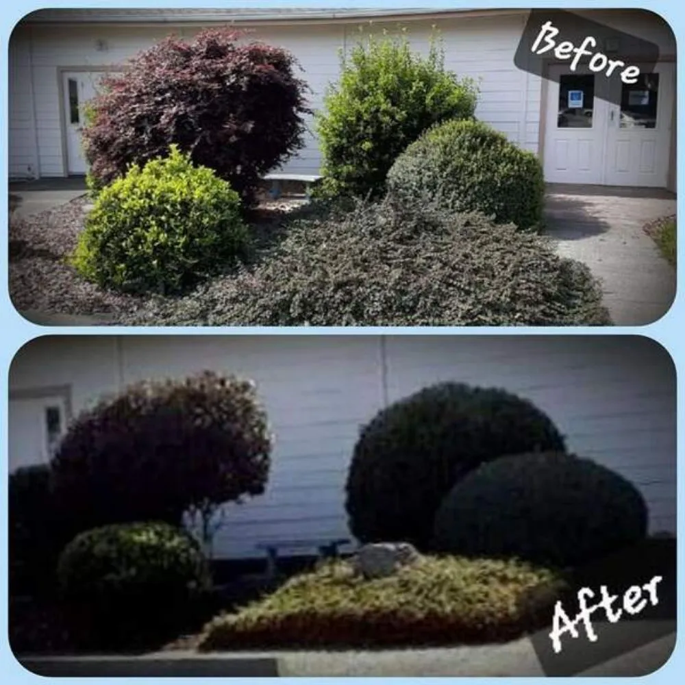 Affordable residential landscaping in Brookings, OR by Coastal Connections