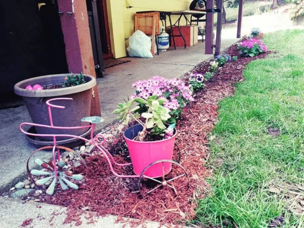 Custom yard cleanup service in Brookings, OR by Coastal Connections