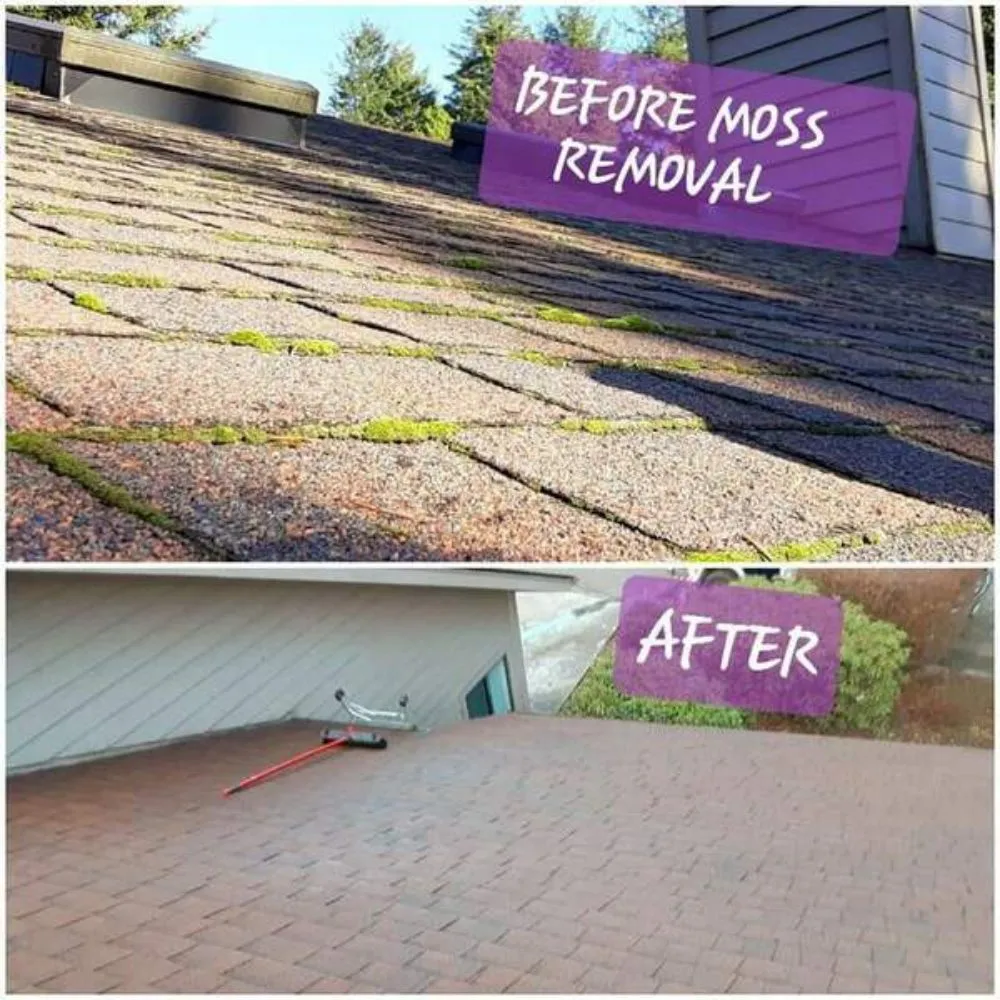 Affordable lawn care service in Brookings, OR by Coastal Connections