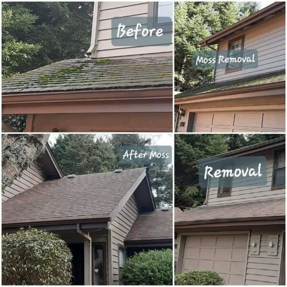 Top-rated landscape design in Brookings, OR - Coastal Connections