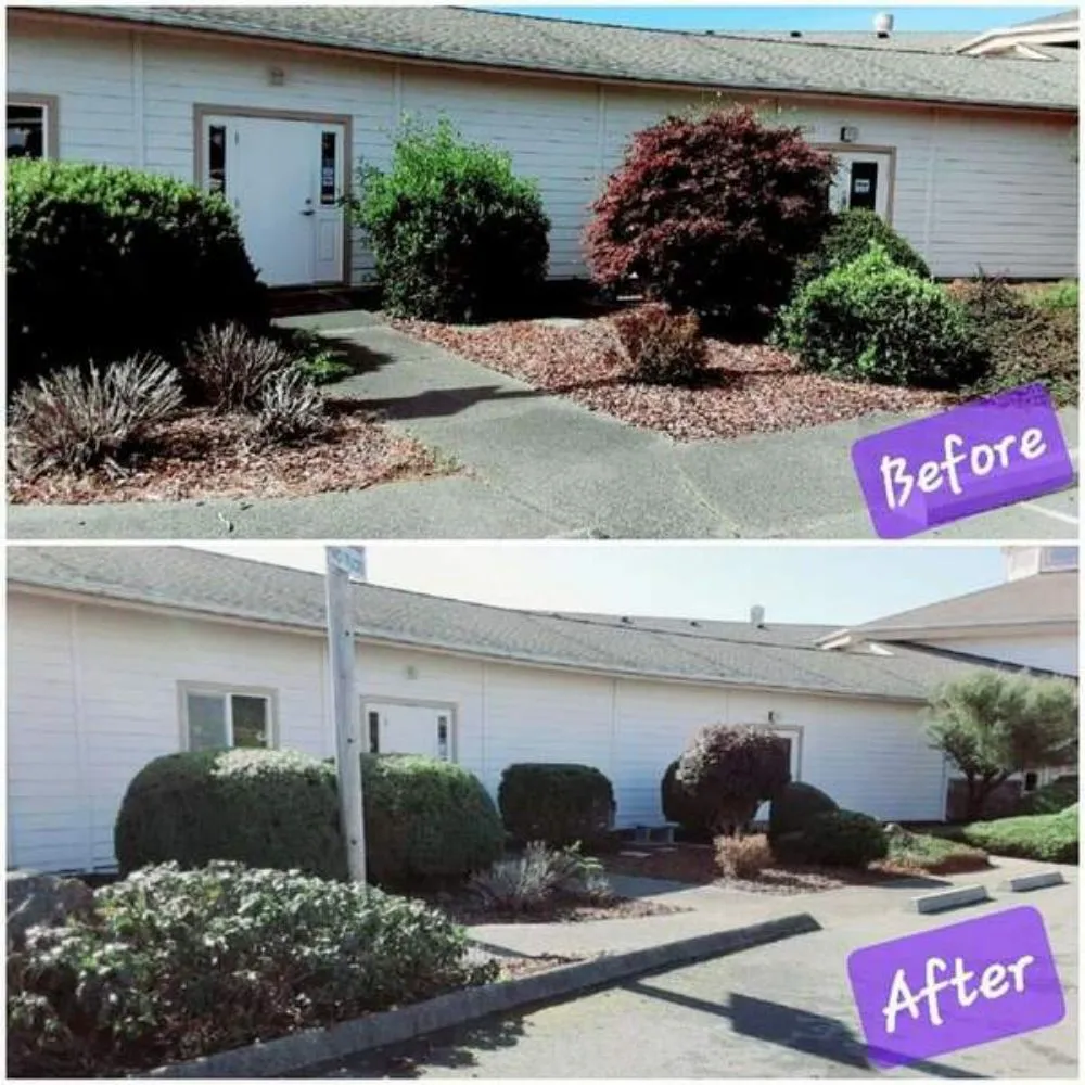 Top-rated landscape design in Brookings, OR by Coastal Connections