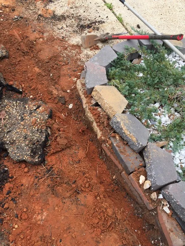 Reliable yard maintenance with custom design across Loxley, AL - Coastal Connections