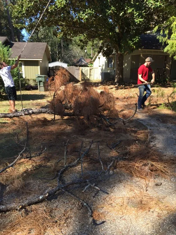 Trusted outdoor landscaping in Loxley, AL by Coastal Connections