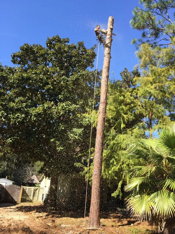 Custom yard cleanup service for homes in Loxley, AL by Coastal Connections