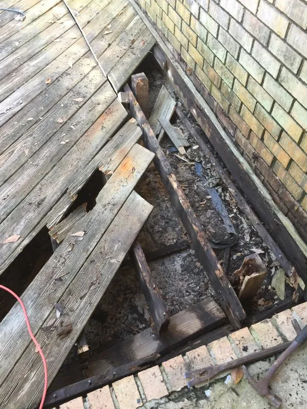 Top-rated landscape design for homes in Loxley, AL by Coastal Connections