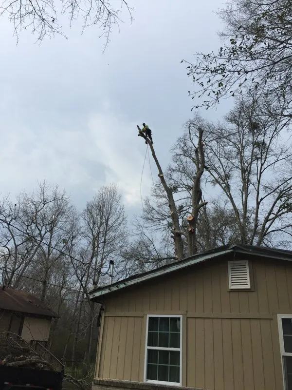 Expert landscape installation experts serving Loxley, AL - Coastal Connections
