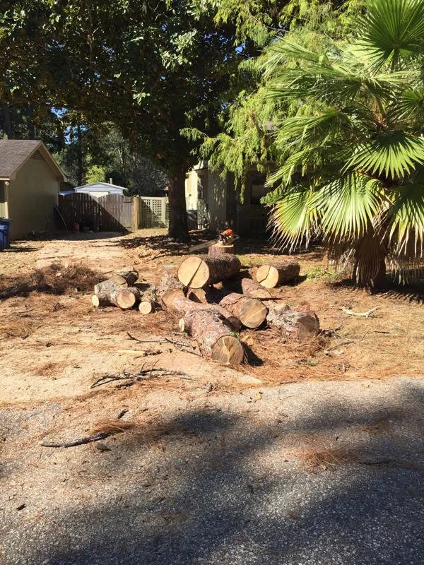 Top-rated yard cleanup service for year-round maintenance in Loxley, AL by Coastal Connections