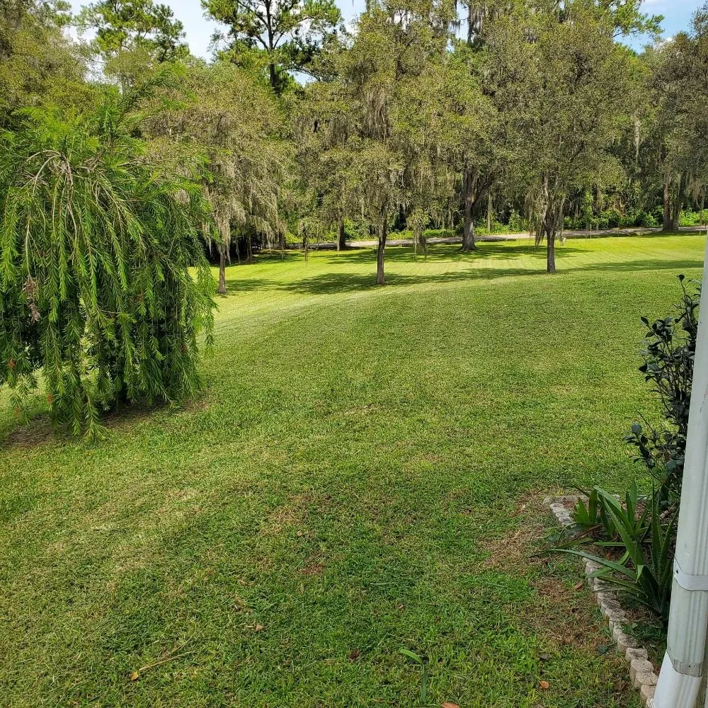 Local residential landscaping experts serving Ridge Manor, FL - Coastal County Cuts