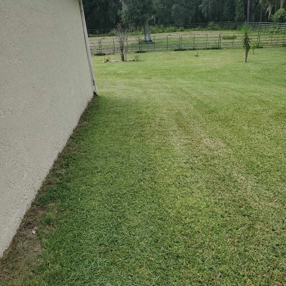 Local residential landscaping for residential properties in Ridge Manor, FL by Coastal County Cuts