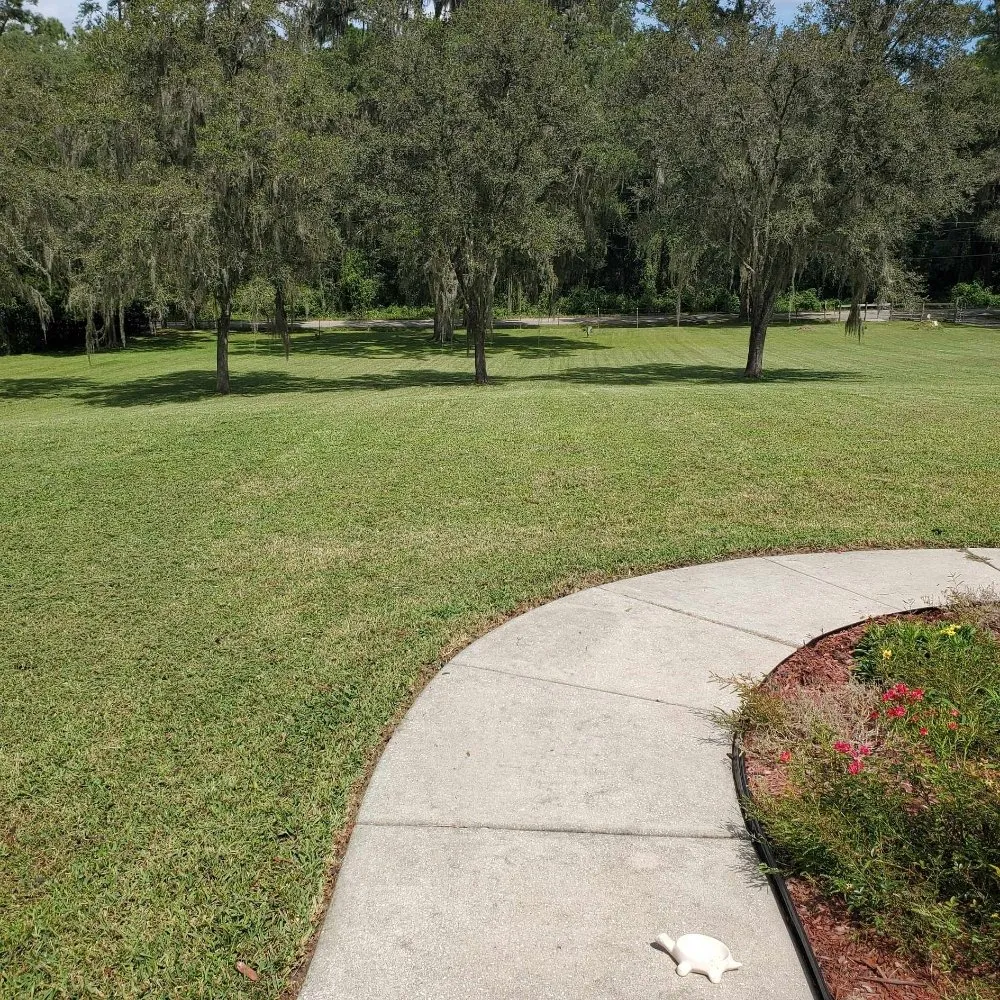 Top-rated residential landscaping in Ridge Manor, FL - Coastal County Cuts