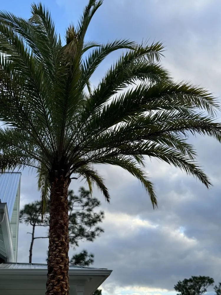 Custom garden landscaping in Panama City, FL - Coastal Creations Landscaping And Palm Services