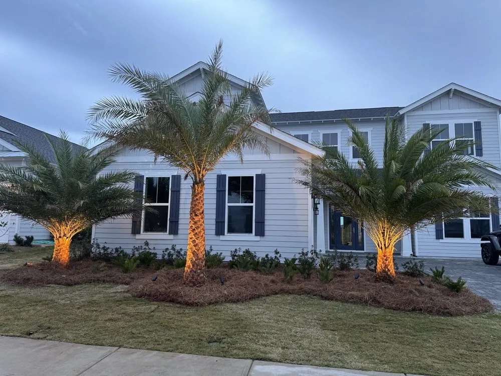 Affordable residential landscaping experts serving Panama City, FL - Coastal Creations Landscaping And Palm Services