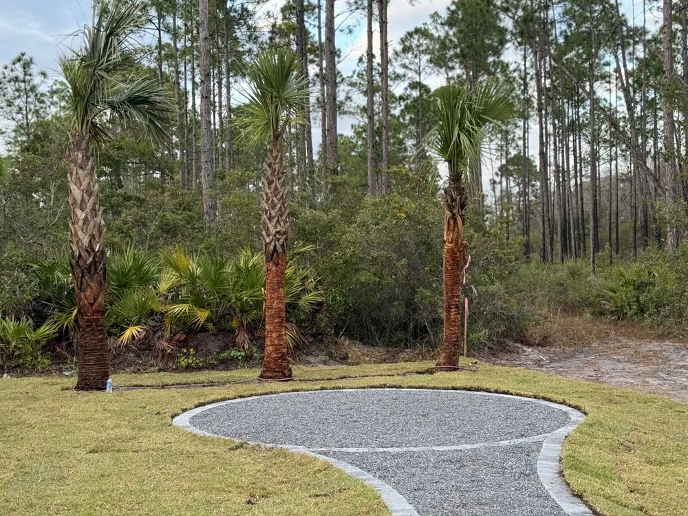 Custom yard maintenance for year-round maintenance in Panama City, FL by Coastal Creations Landscaping And Palm Services