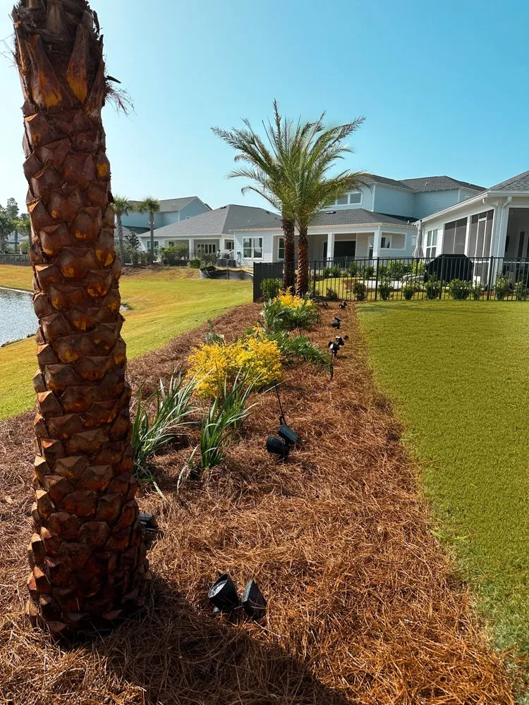 Professional residential landscaping with custom design across Panama City, FL - Coastal Creations Landscaping And Palm Services