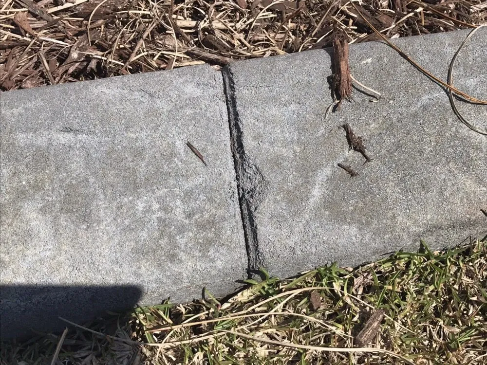 Expert yard maintenance experts serving Myrtle Beach, SC - Coastal Curbs