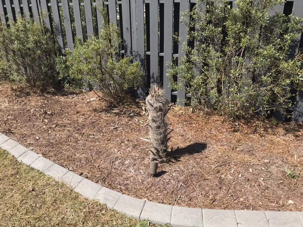 Custom lawn mowing service near you in Myrtle Beach, SC by Coastal Curbs