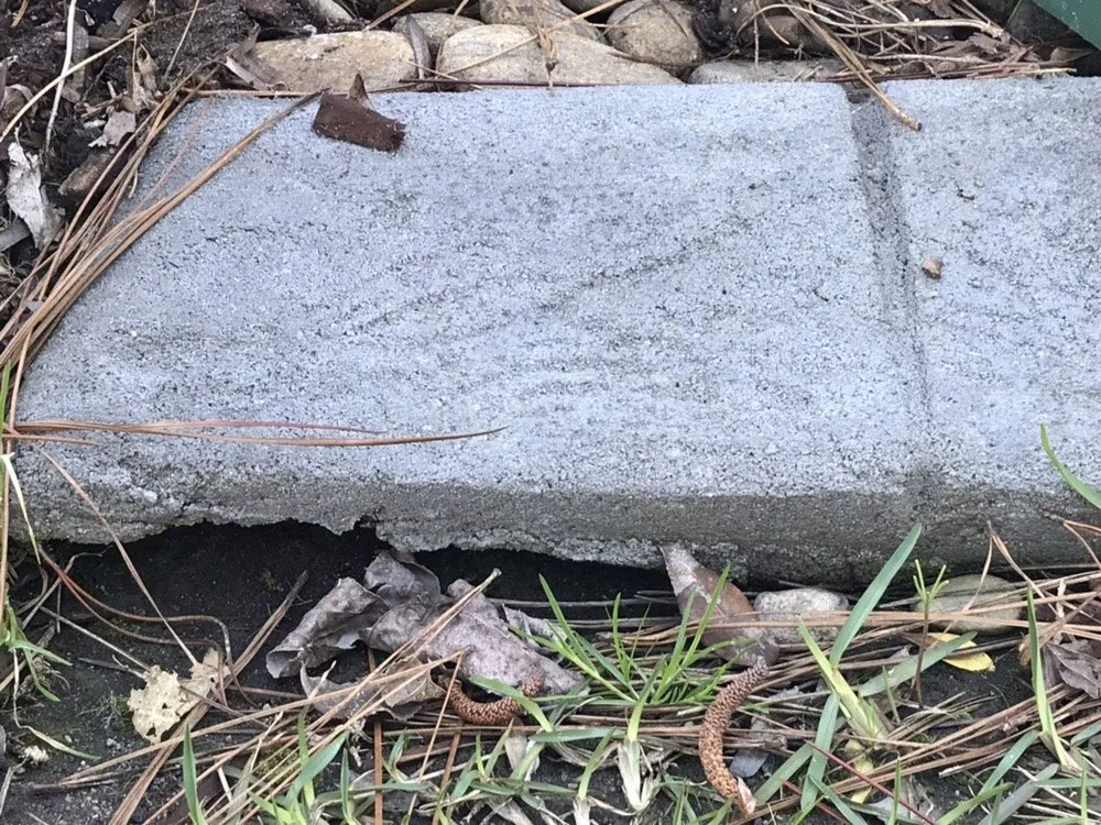 Affordable lawn mowing service with custom design in Myrtle Beach, SC by Coastal Curbs