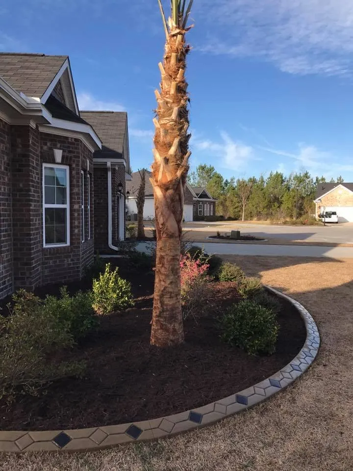 Local outdoor landscaping in Myrtle Beach, SC by Coastal Curbs