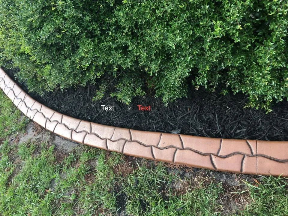 Reliable yard cleanup service in Myrtle Beach, SC - Coastal Curbs