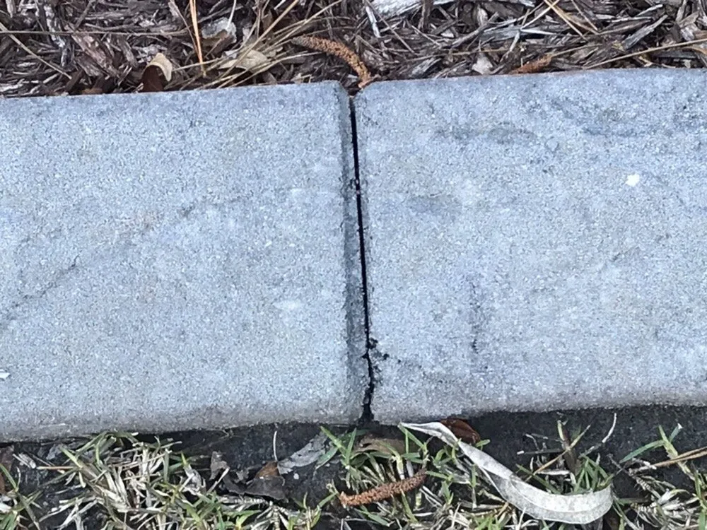 Professional landscape installation in Myrtle Beach, SC by Coastal Curbs