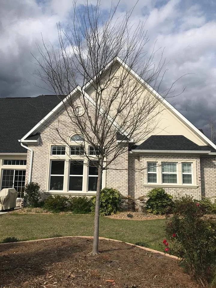 Custom landscape installation in Myrtle Beach, SC by Coastal Curbs