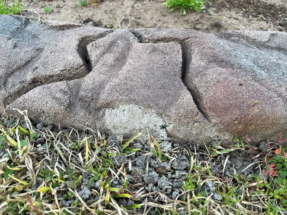 Reliable lawn care service experts serving Myrtle Beach, SC - Coastal Curbs