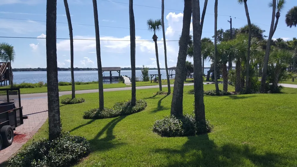 Professional yard maintenance for beautiful yards across Merritt Island, FL - Coastal Cuts Lawn & Tree Maintenance