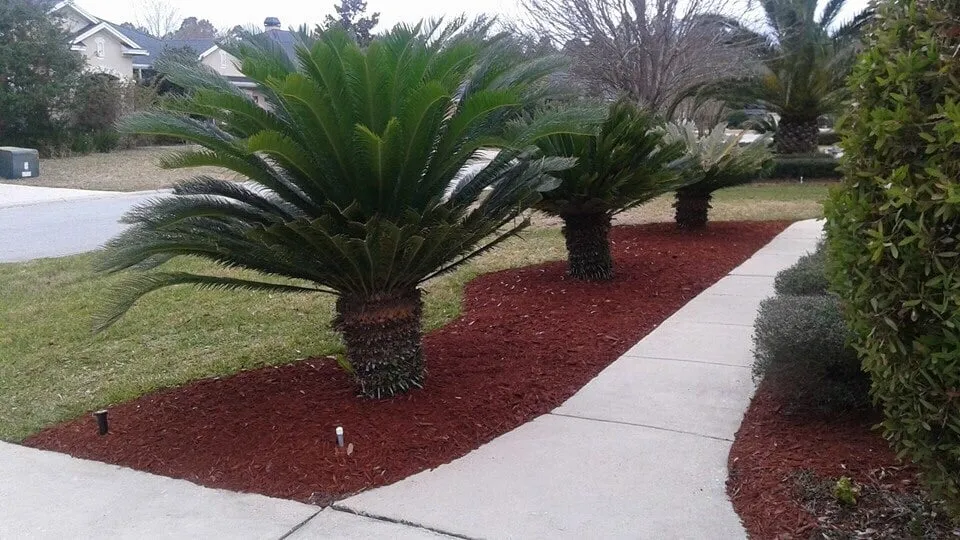 Top-rated landscape design in Saint Johns, FL - Coastal Cuts Lawn and Landscape Services